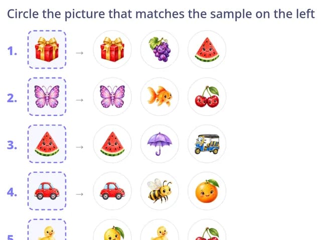 Look & find (match/odd)