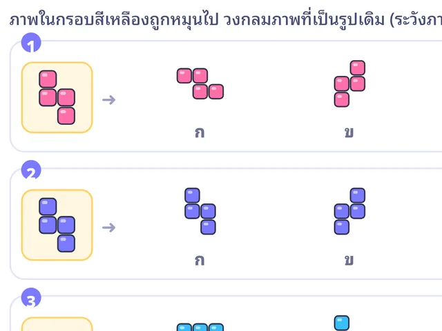 หมุนภาพ มิติสัมพันธ์